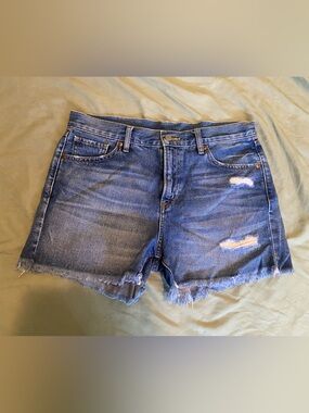 Women's Blue Distressed Denim Summer Shorts